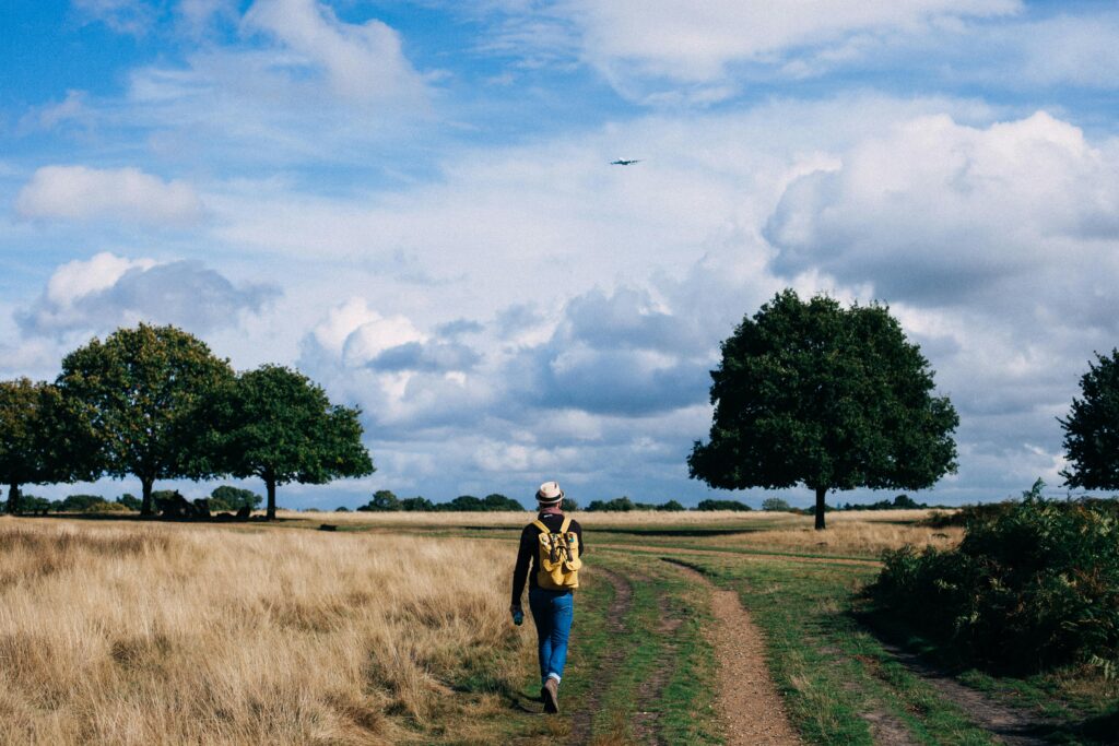 person walking in nature